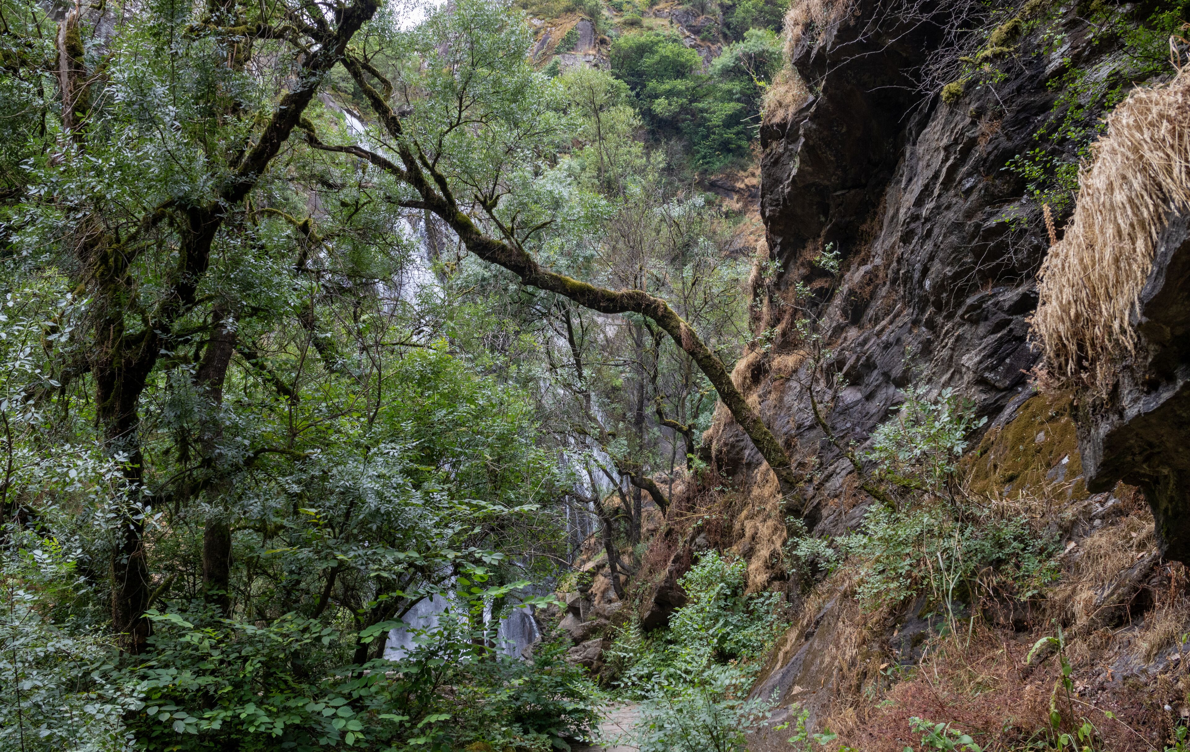 ซิลเลดา