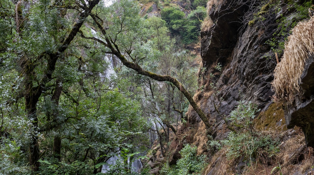 ซิลเลดา