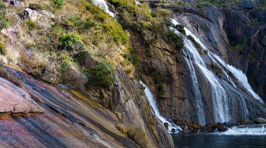 ซิลเลดา