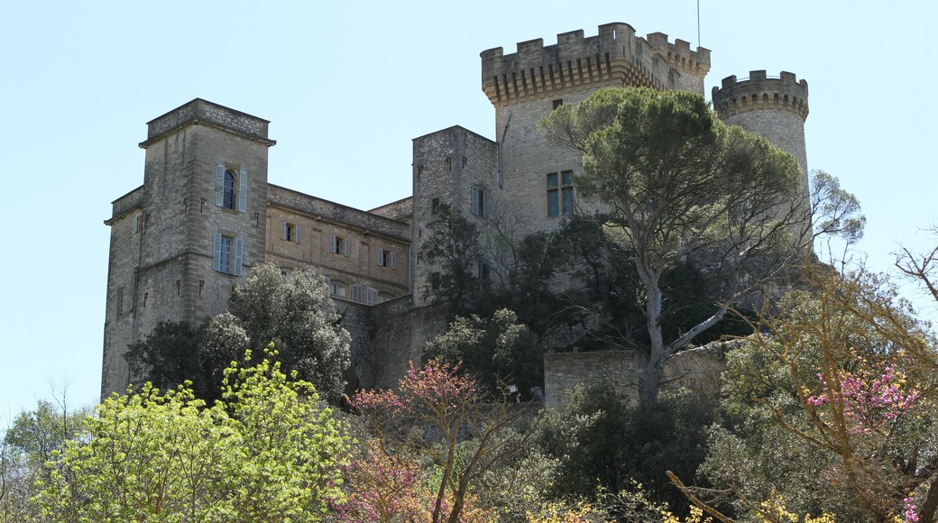 The castle of La Barben (Bouches-du-Rhône, France)