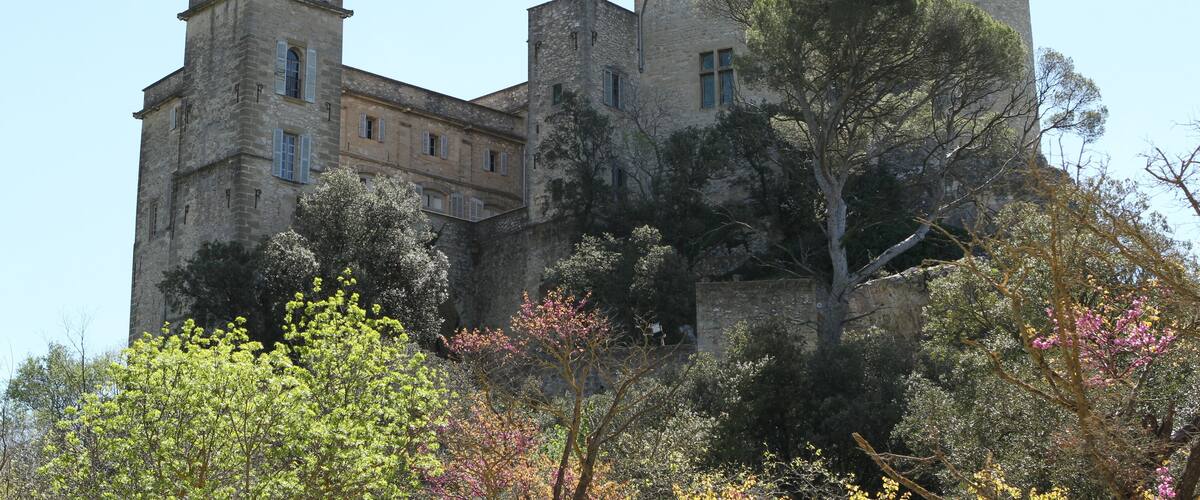 A historic stone castle with multiple towers and a flag, surrounded by lush greenery and trees.
