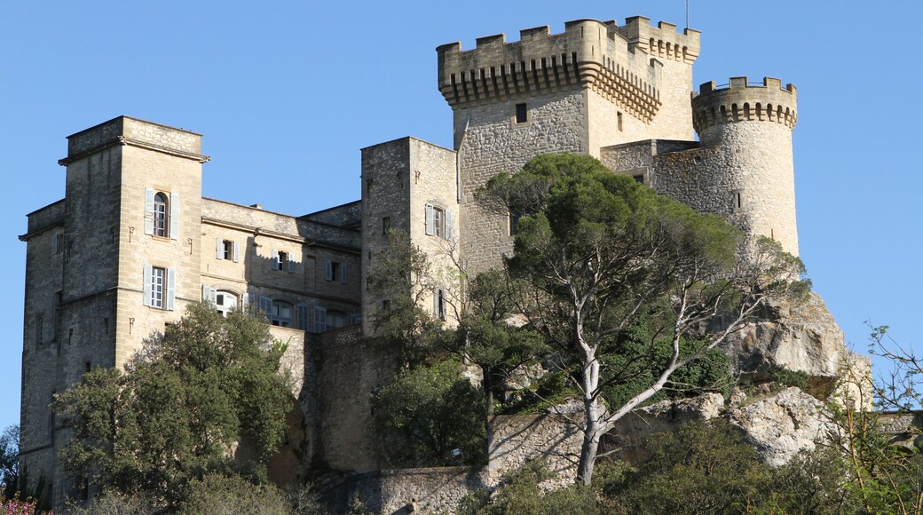 The castle of La Barben (Bouches-du-Rhône, France)
