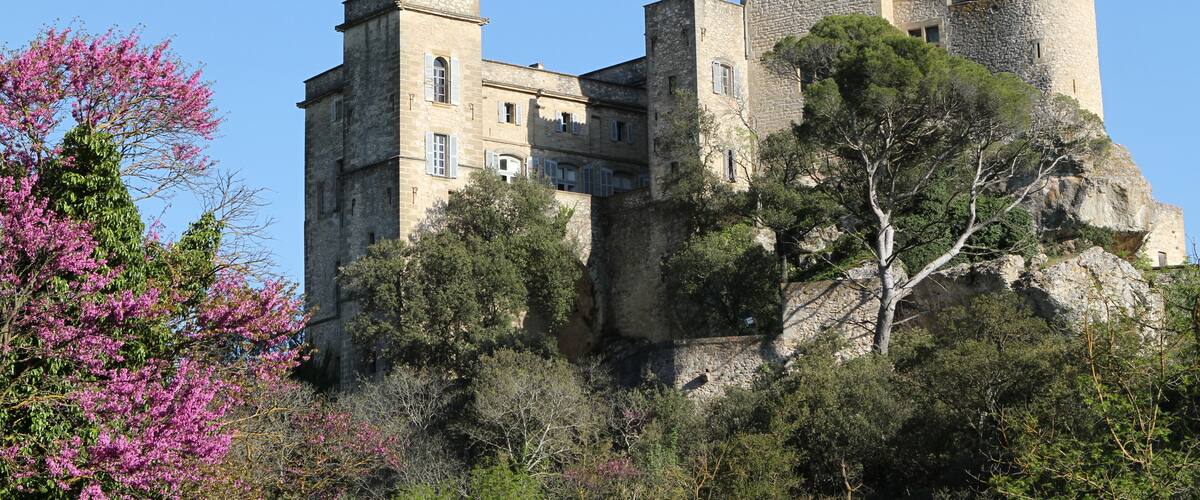 The castle of La Barben (Bouches-du-RhĂŽne, France)