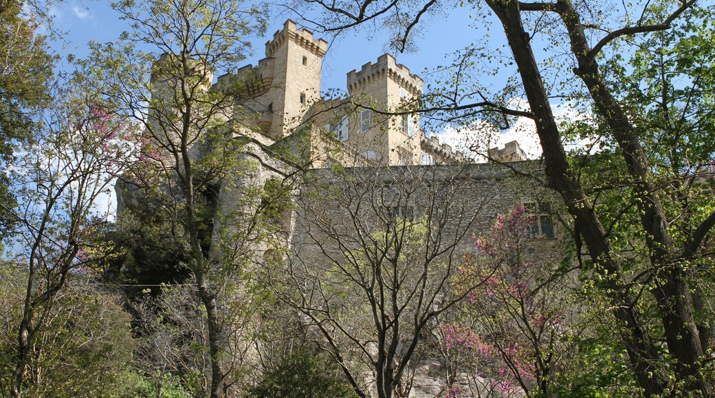 The castle of La Barben (Bouches-du-Rhône, France)