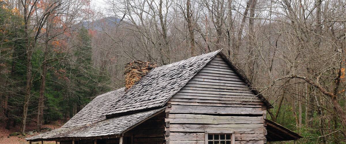 A rustic wooden cabin with a sloped roof, surrounded by a forested area with bare trees.