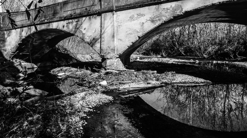 One of only a few remaining 5 arch bridges in the country, I was lucky enough to make it to this one before it was torn down. Beautiful one lane bridge over a creek near Mt. Pleasant TN, it's a shame they just can't restore and maintain rather than destroy and rebuild.