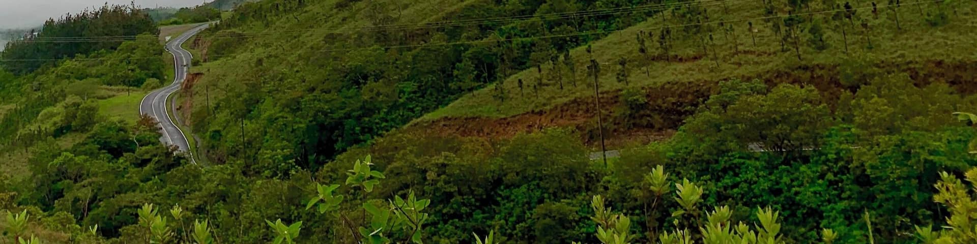 A winding road through a lush green hillside with a sunset in the background.