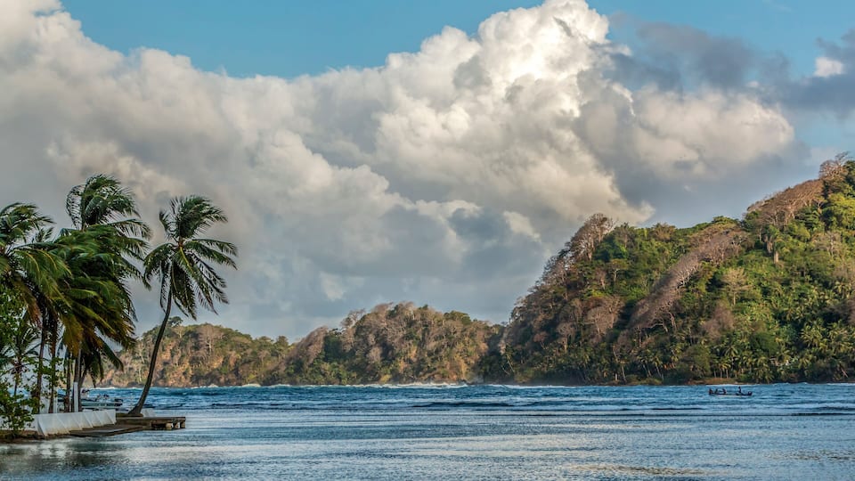 A tropical beach with palm trees, a rocky island, and a boat in the water.