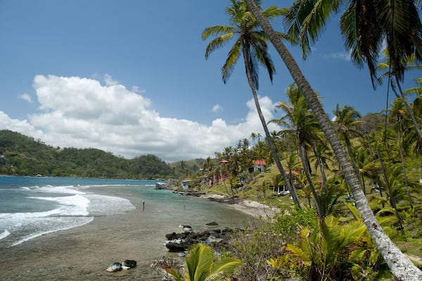 Palm trees forest and houses in Isla Grande shore. Colon province, Panama, Caribbean, Central America.