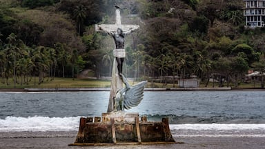 Una estatua de una figura con los brazos extendidos, un ave posada en la estatua y una masa de agua al fondo.