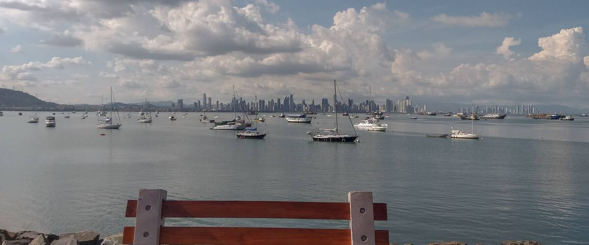 A harbor with numerous boats and a distant city skyline.