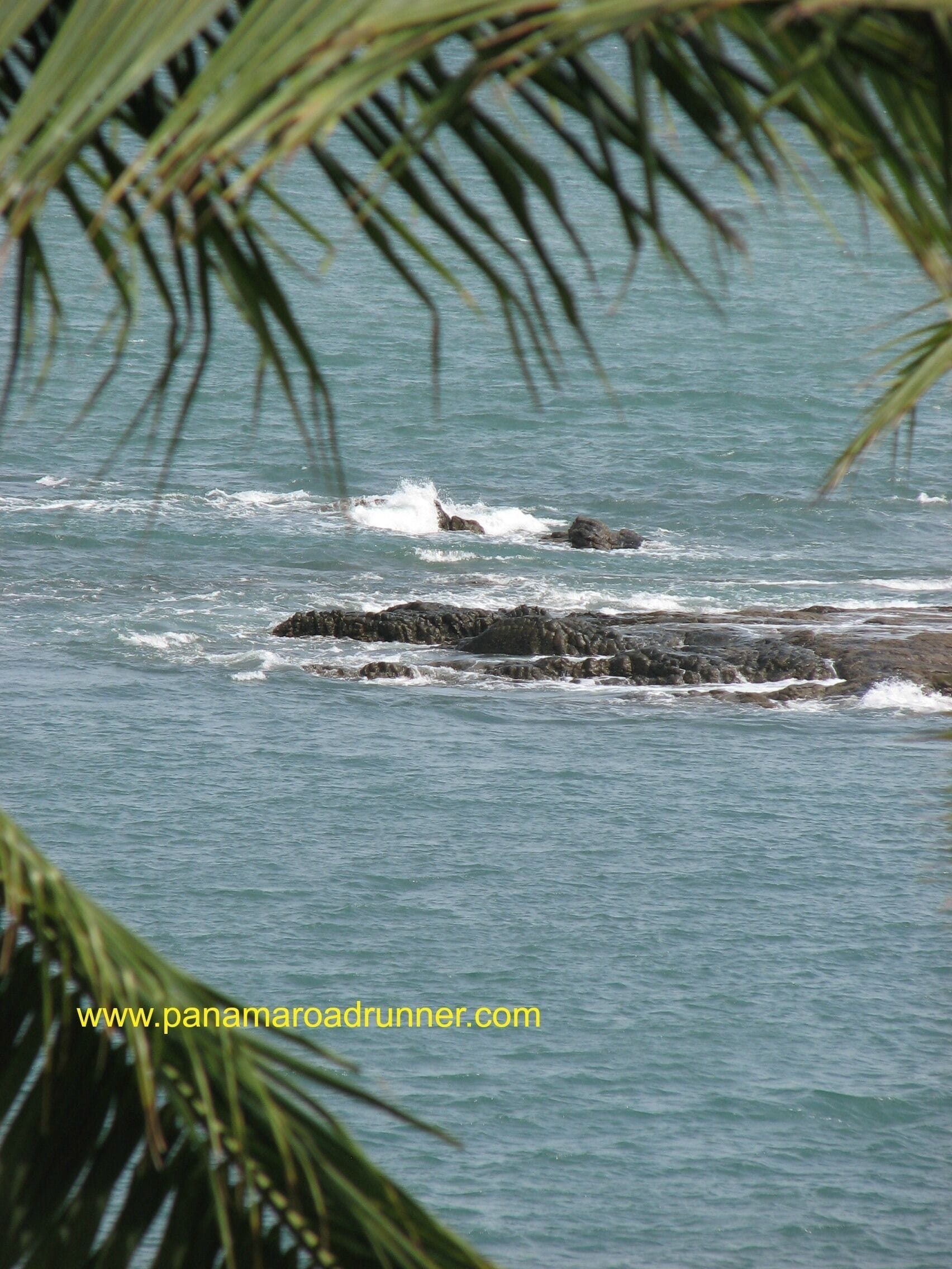 Coronado is a beach community about 90 to 120 minutes from Panama city that swells with local on Panmanian holidays and swells with tourists between November and April.  

We provide airport transport and tours from Coronado.