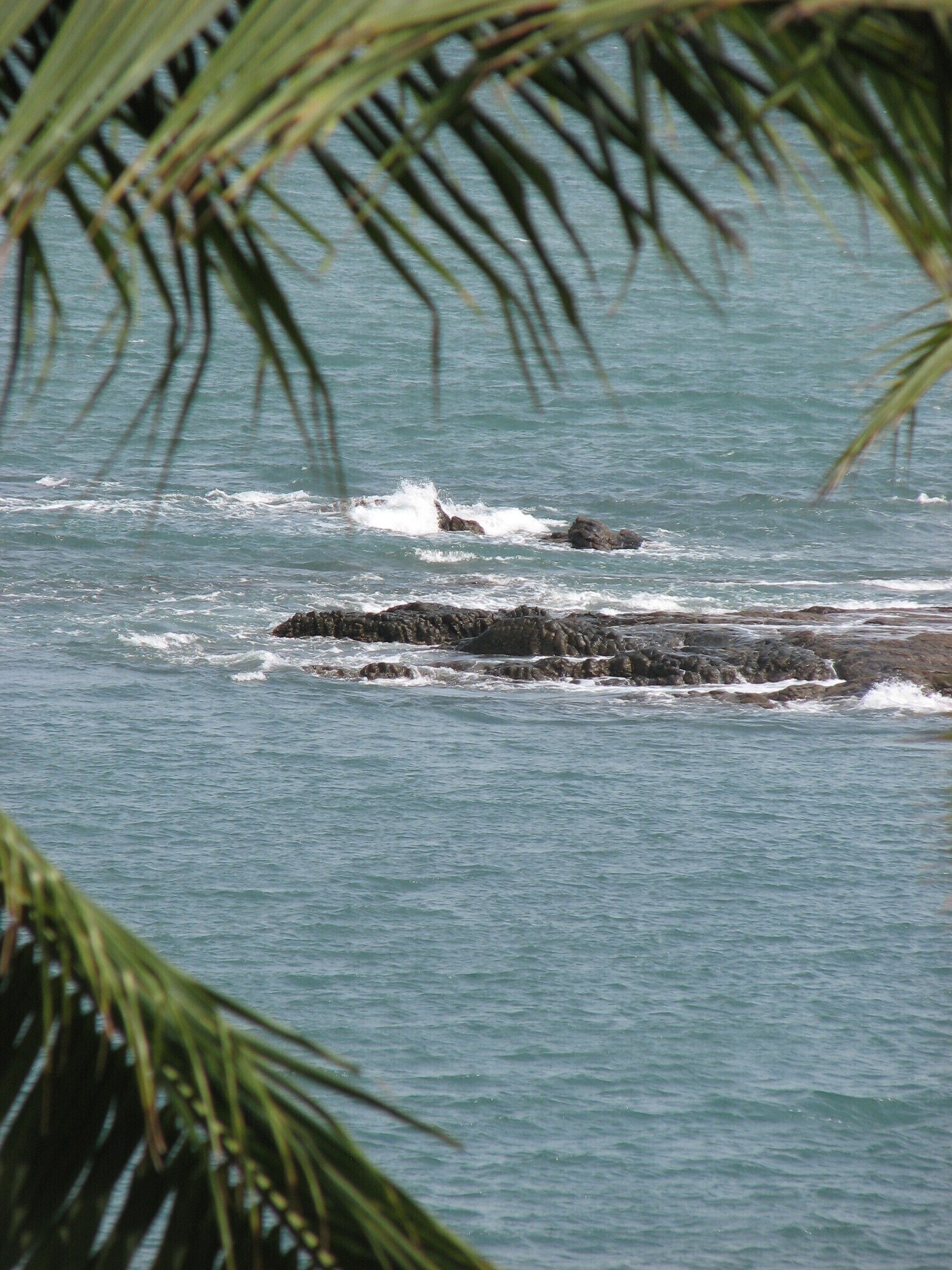 Coronado, Panama is famous for its black sand beaches and has become an expat haven in Panama.  During dry season this sleepy community swells with hundreds of tourists who come from North America to escape the snow.