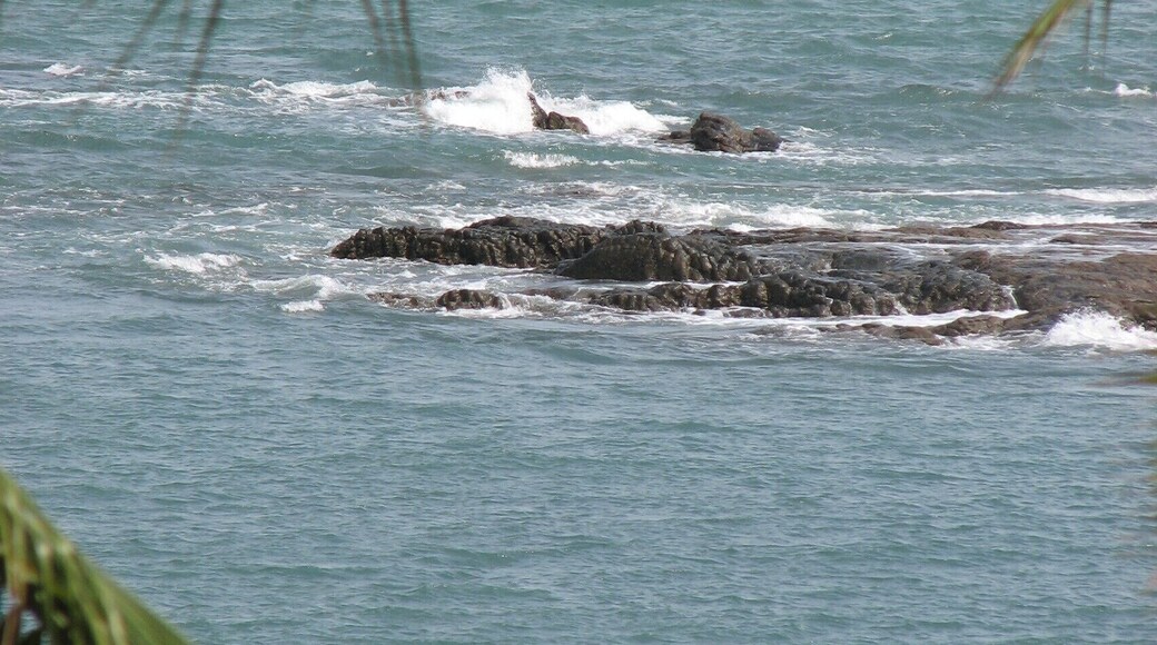 Coronado, Panama is famous for its black sand beaches and has become an expat haven in Panama. During dry season this sleepy community swells with hundreds of tourists who come from North America to escape the snow.