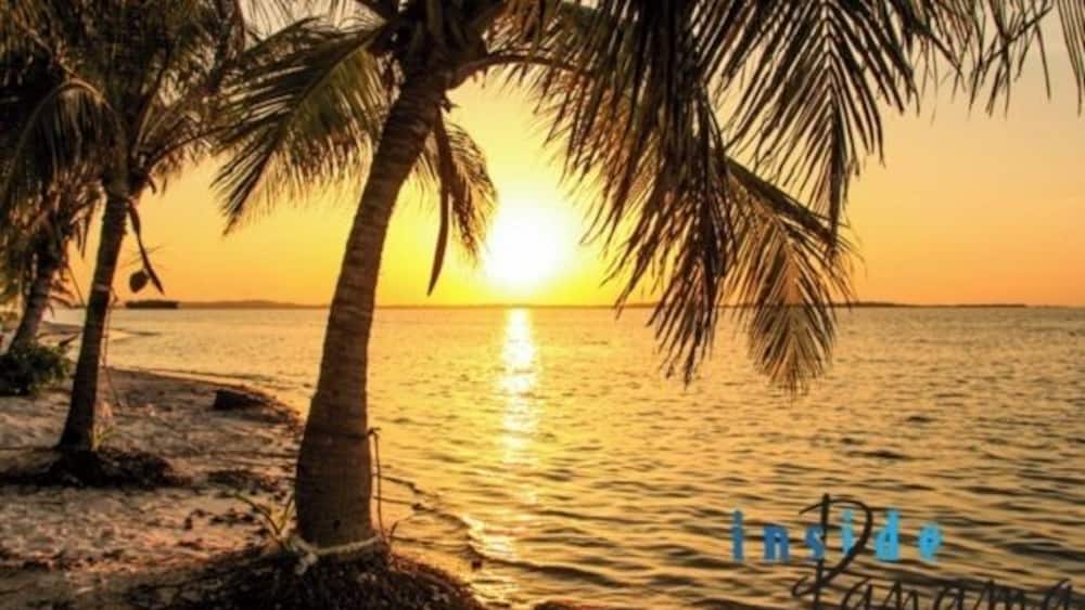 There is nothing like a walk on hte beach as the sun comes up. Visit Coronado to see the black sand beaches! www.insidepanamarealestate.com