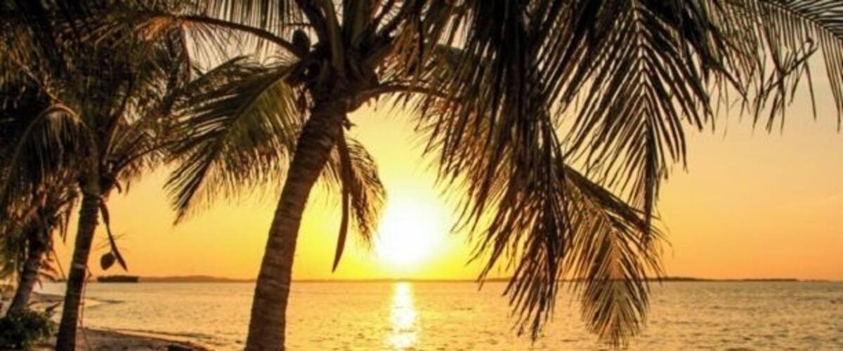 There is nothing like a walk on hte beach as the sun comes up. Visit Coronado to see the black sand beaches! www.insidepanamarealestate.com