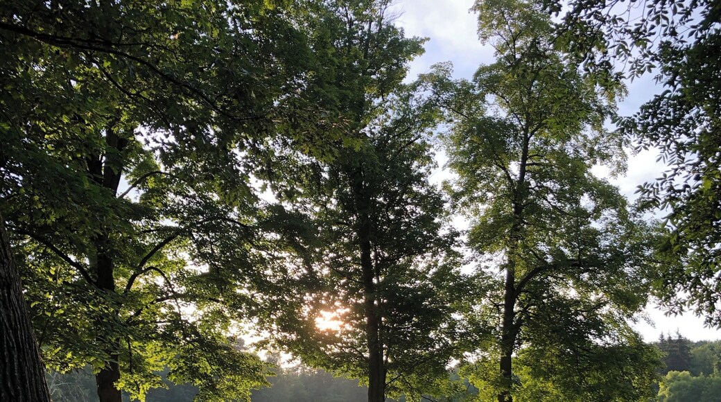 This was taken at Peniel Bible Camp. I love this place so much and it is my second home. #nature