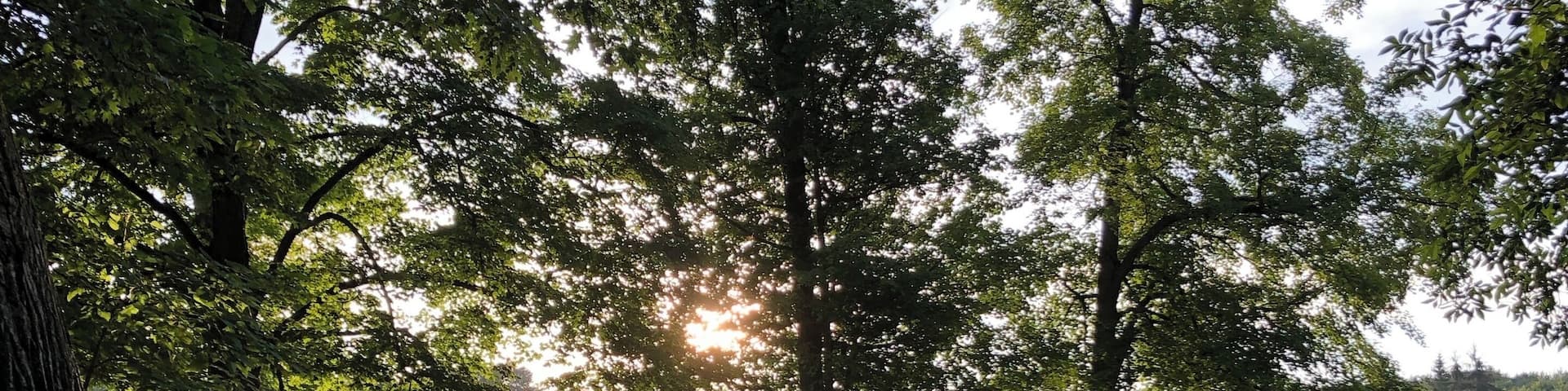 This was taken at Peniel Bible Camp. I love this place so much and it is my second home. #nature