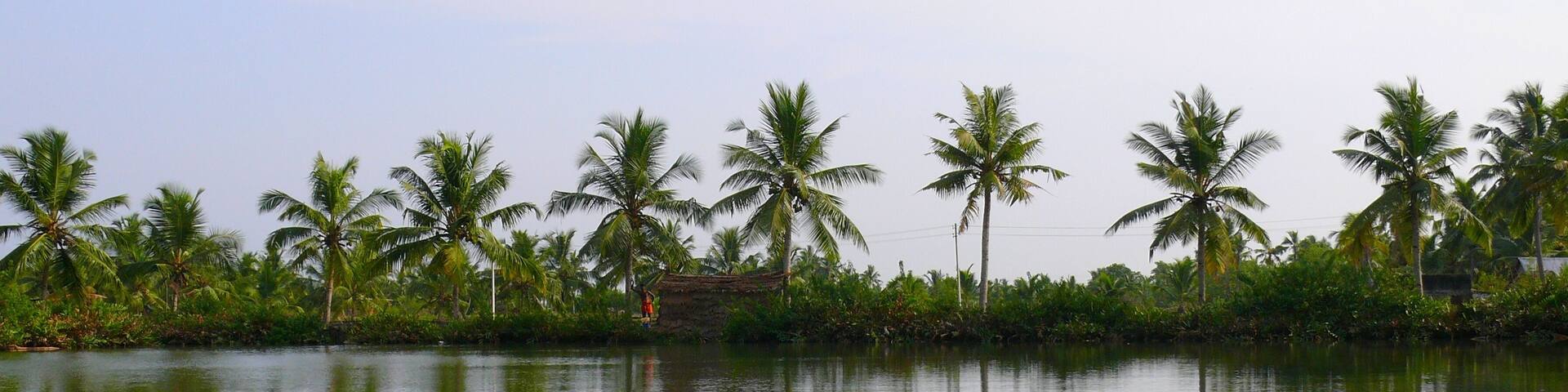 India South, Kerala, Nedungolam, Paravur Lake, Kerala backwaters