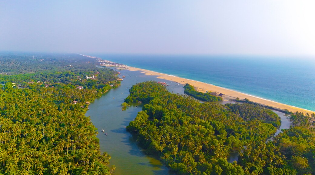 Aerial Drone Capture of Poovar Island’s Coastal Beauty