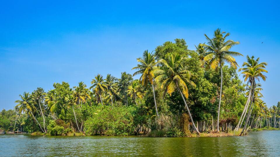 A tropical island with palm trees and a calm lake.