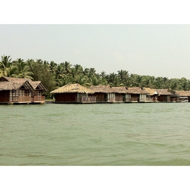 A row of thatched-roof huts by a calm body of water, surrounded by palm trees.