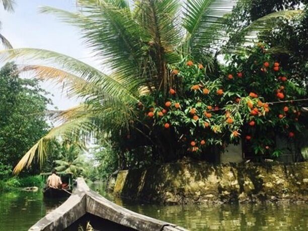 Taking a canoe trip (the budget-friendly version of renting a house boat), is one of the best ways to see the famous backwaters in Kerala. I took my trip from Alleppey, which is the most popular place to leave from, but you can also do it from other cities like Kochi.

#india #kerala #alleppey #backwaters #troveon
