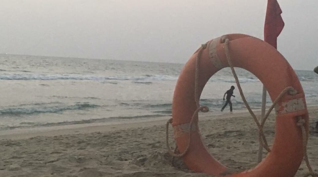 Considered medicinal and magical, #papanasambeach Kerala, also known as #varkalabeach is perhaps one of the most-visited beachfront in this south Indian city. It is believed that a dip in the water cures all your ailments and frees you from all sins đ€