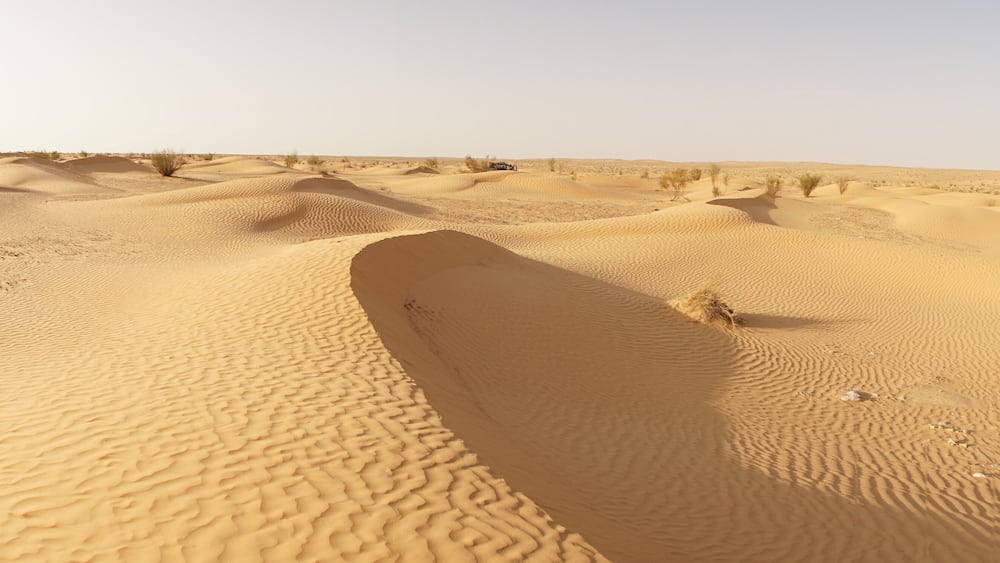 Desert landscape with dunes in the Sahara Desert near Douz, Tunisia.