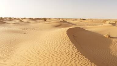 Desert landscape with dunes in the Sahara Desert near Douz, Tunisia.