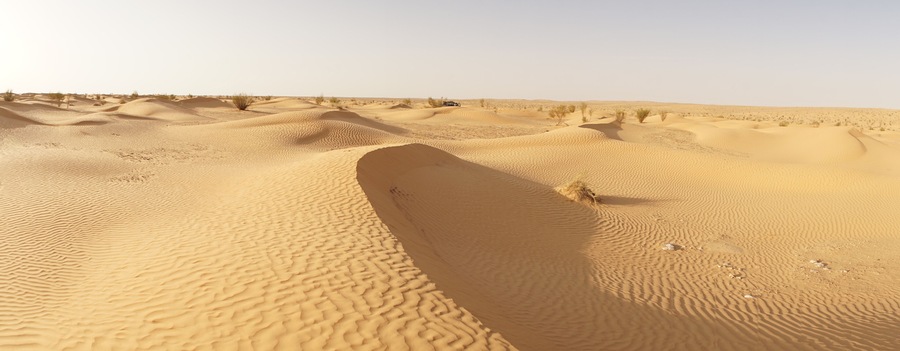 Desert landscape with dunes in the Sahara Desert near Douz, Tunisia.