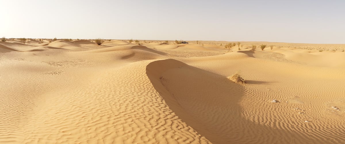 A desert landscape with sand dunes and sparse vegetation.