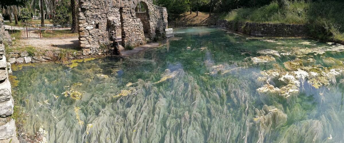 A clear river with visible aquatic plants and stone ruins in the background.