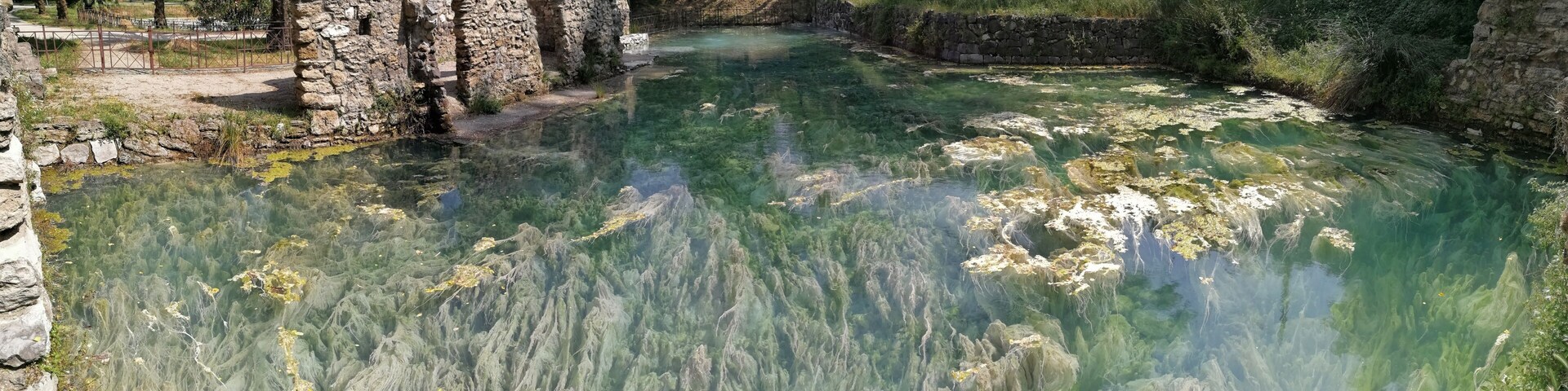 A clear river with visible aquatic plants and stone ruins in the background.