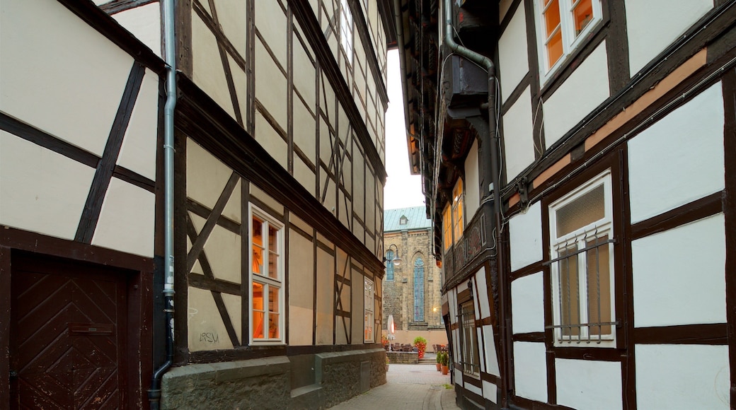 Harz National Park showing heritage elements