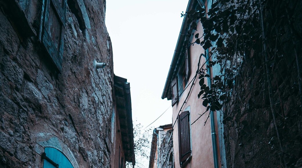 The doors of Sauve were so unique and beautiful