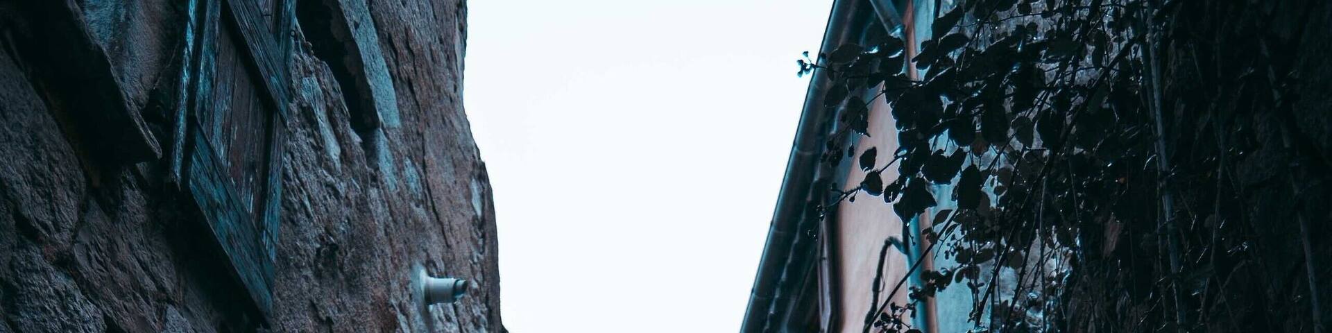 The doors of Sauve were so unique and beautiful