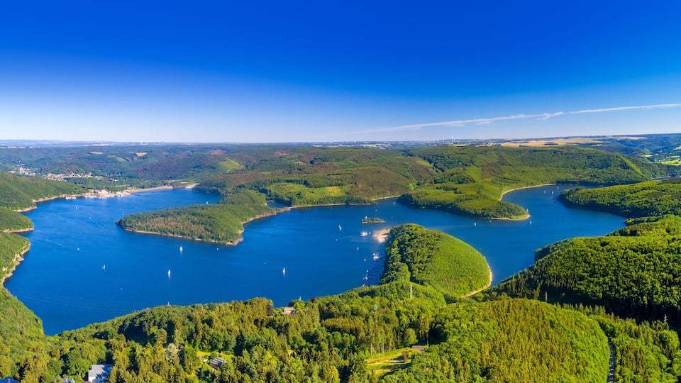 A coastal landscape with a bay surrounded by dense forests and a clear blue sky.