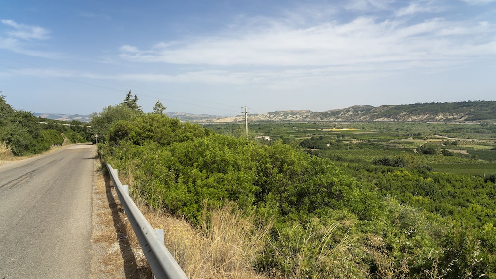 Une route de campagne bordée d’une végétation luxuriante, avec des collines qui se dessinent à l’horizon.