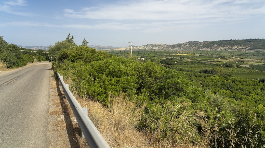 ํด๋ฆฌ์ฝ๋ก