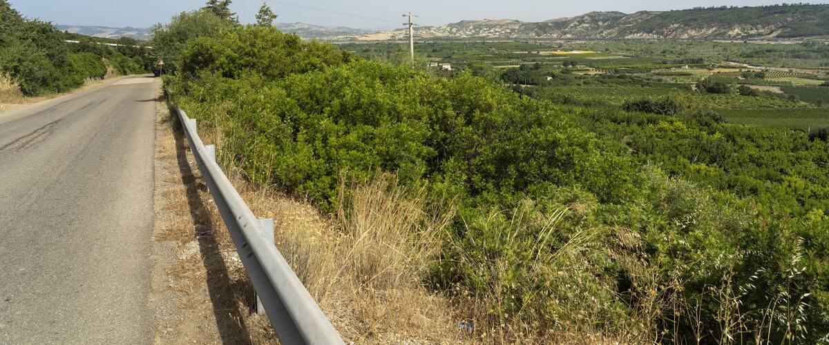 A rural road flanked by dense greenery and hills in the distance.