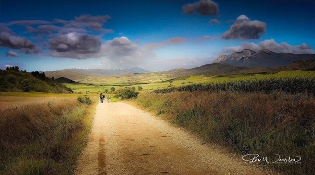 The Camino Santiago
Spain
A iphoneable /LR Photo