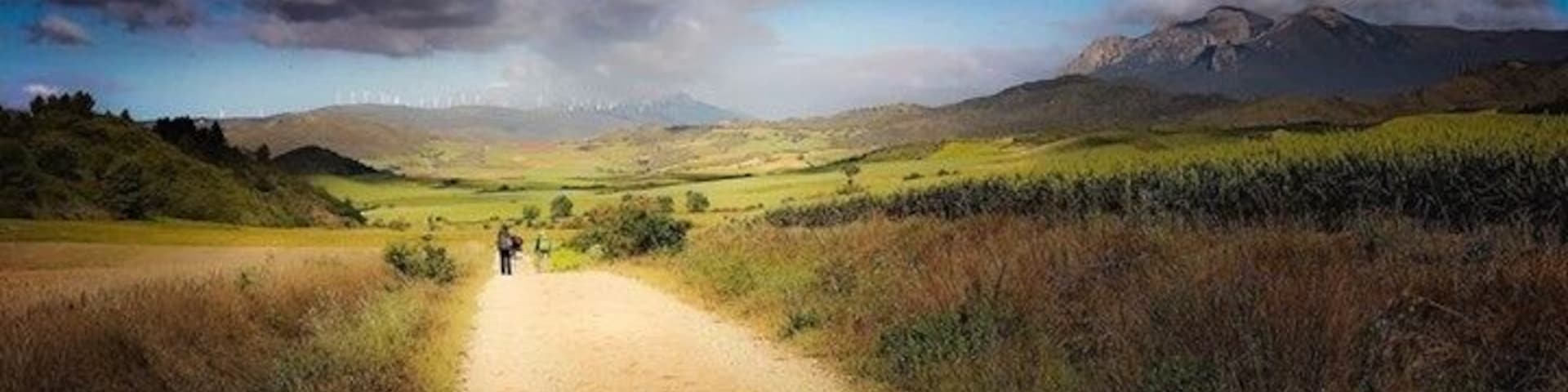 The Camino Santiago
Spain
A iphoneable /LR Photo