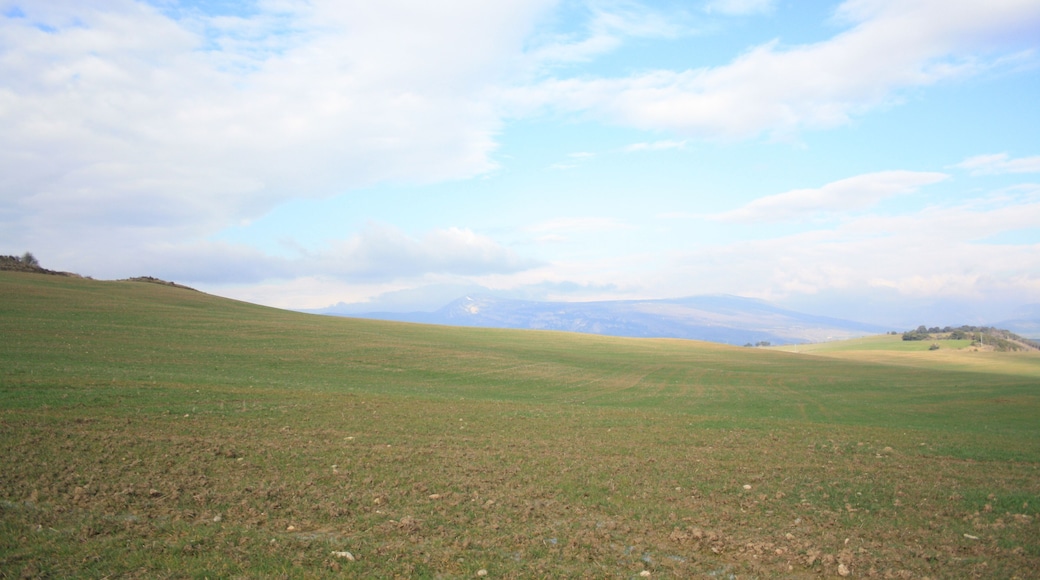 Campos y mĂĄs campos