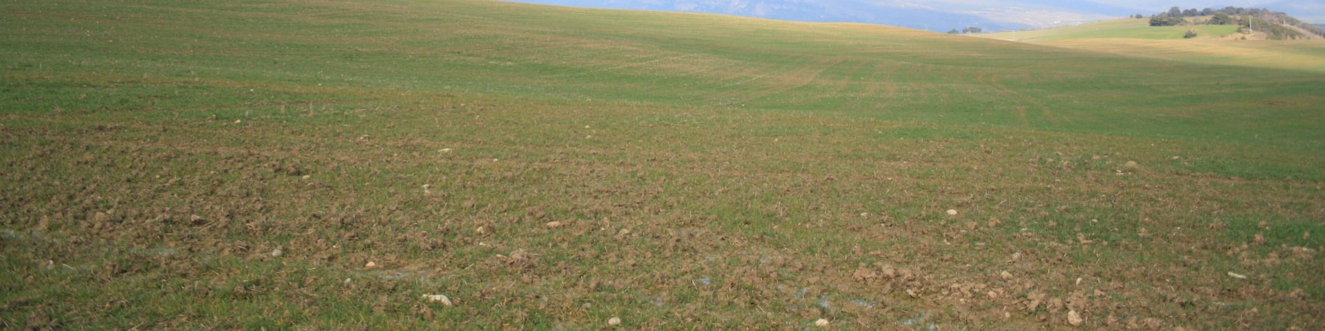 A grassy field with rolling hills and distant mountains under a partly cloudy sky.