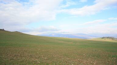 Campos y más campos