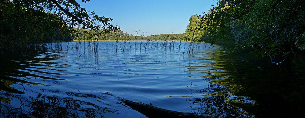 Nehmitzsee, Panorama