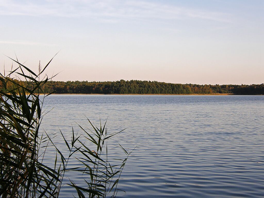 A calm lake with a forested shoreline.