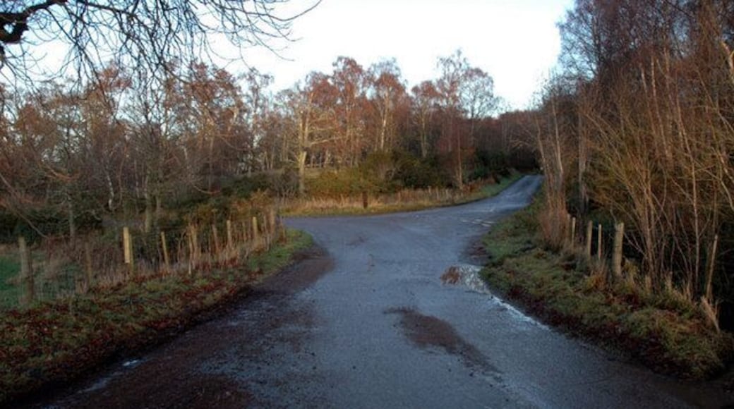 Road junction near Ryefield On the Black Isle. The road on the left leads down to Alcaig.