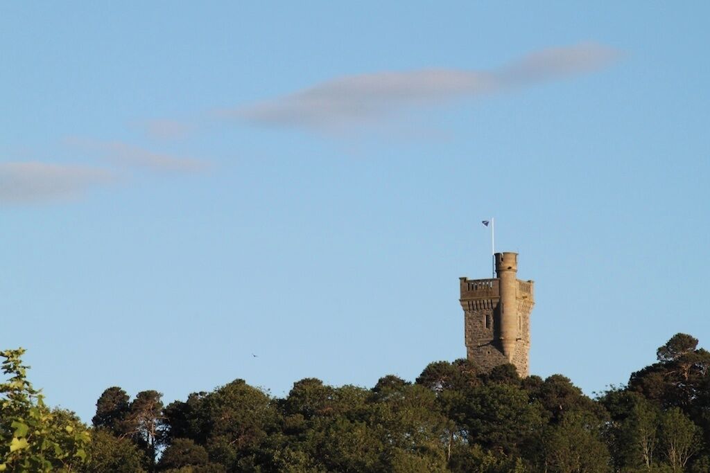 A stone tower with a flag atop, surrounded by dense trees.